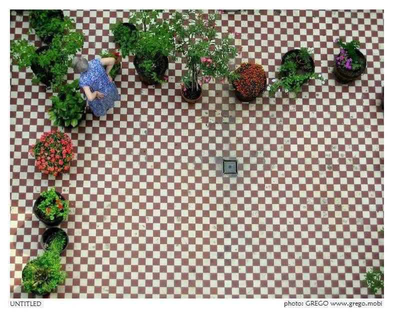 A woman among potted plants on a chequered courtyard floor seen from above